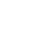 shareholder icon